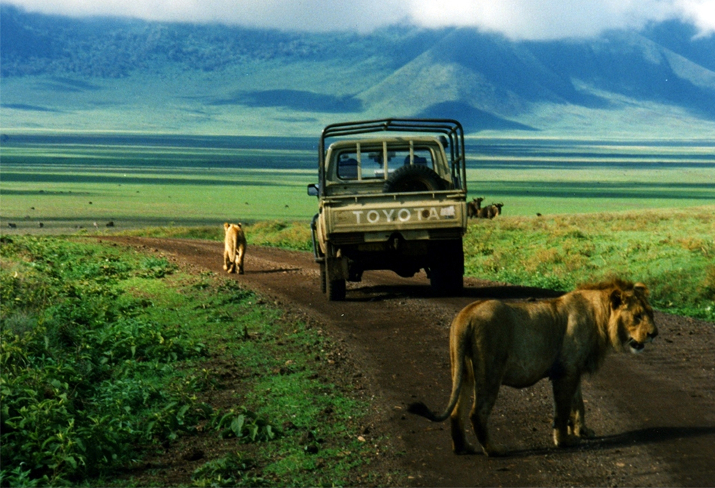 Ngorongoro 2